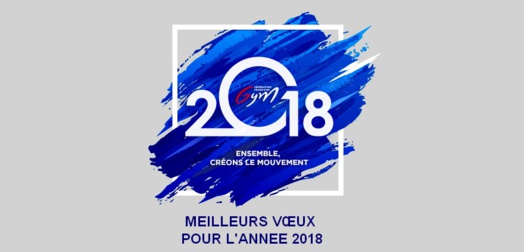 Bonne année 2018 Bonne année 2018