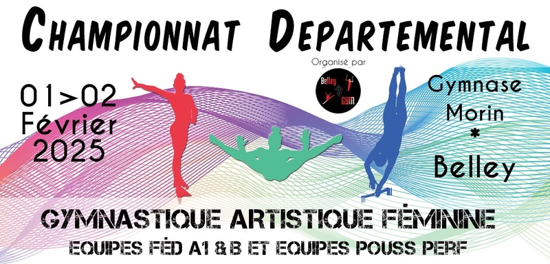 Championnat départemental des équipes GAF Fed A1 et B et poussines Perf MAJ le 28 janvier