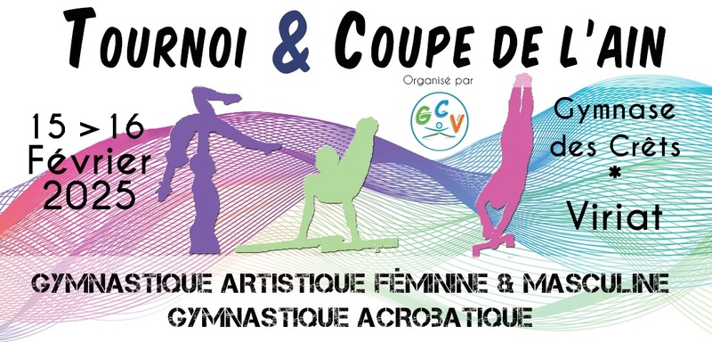 Tournoi 1 et coupe de l'Ain à Viriat les 15 & 16 février MAJ le 13 février