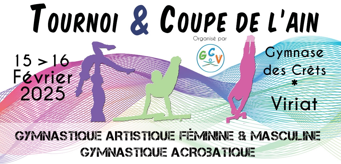 Tournoi 1 et coupe de l'Ain à Viriat les 15 & 16 février MAJ le 13 février